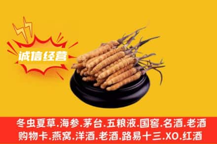 荆门掇刀区回收冬虫夏草